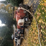 Sewer pipe replacement