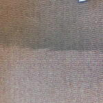 carpet cleaning