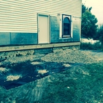 Under Deck Landscaping