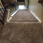 Dreamweaver Carpet