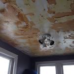 New Ceiling