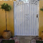 tree bloom purple flower