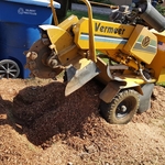 Tree Removal