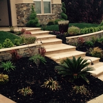 Front landscape/walkway
