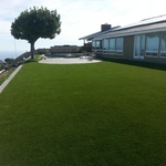 Turf
