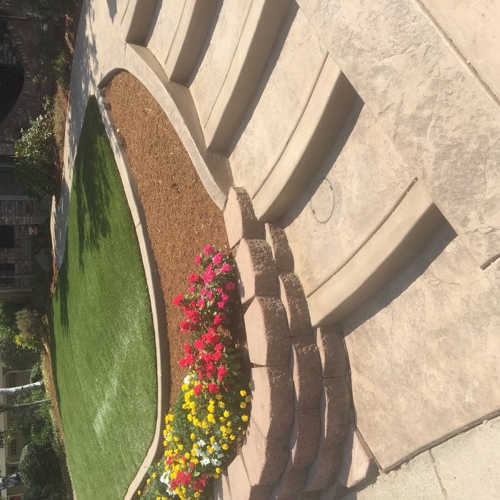 Front yard