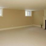 Basement Remodel