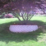 retaining walls