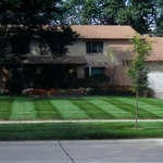 Lawn Care