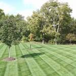 Lawn Care