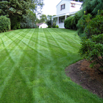 Lawn Care