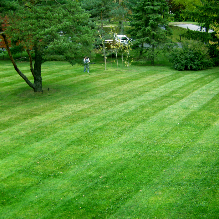 Lawn Care