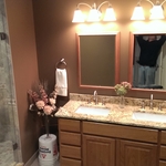 Bathroom vanity and shower