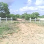 Fences