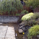 Saturated Landscaping - Pre-Construction