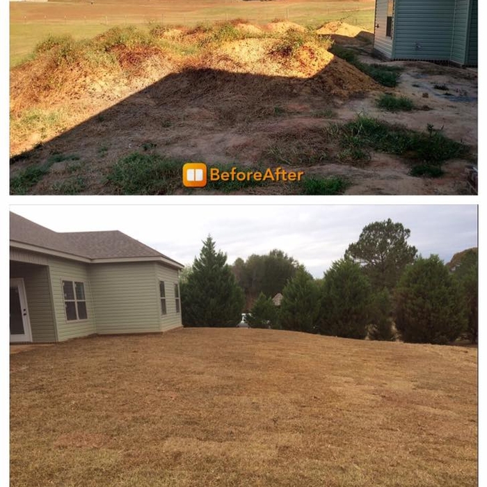 Before and After