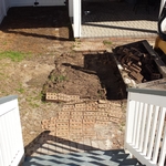 Back yard landscaping
