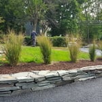 Dry Stack Retaining Wall & Grasses