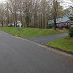 grass cutting