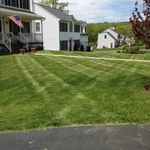 grass cutting