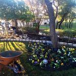 Rock Work And Landscape