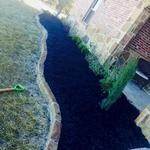 Rock Work and Landscape