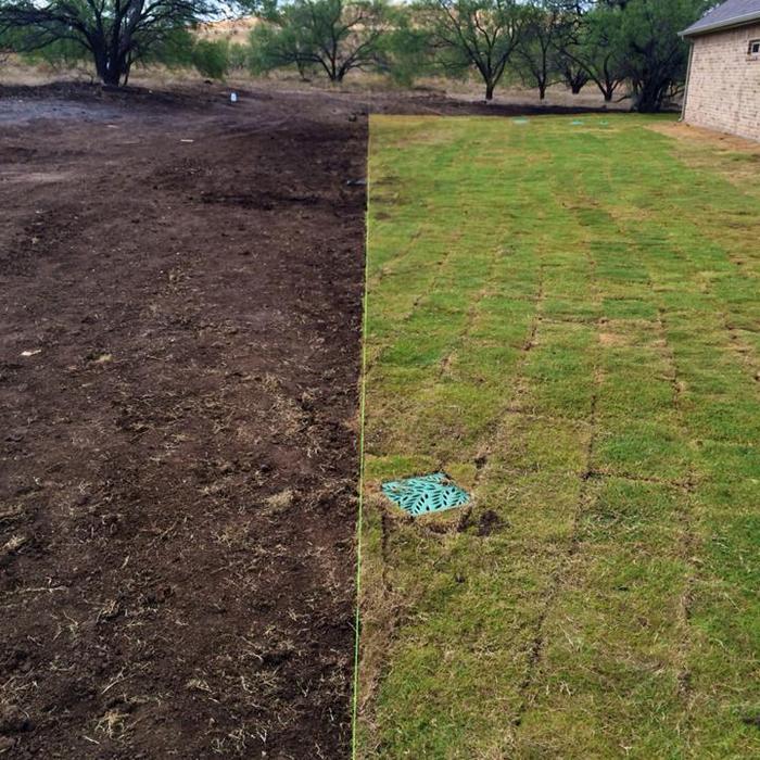 String line and cut sod