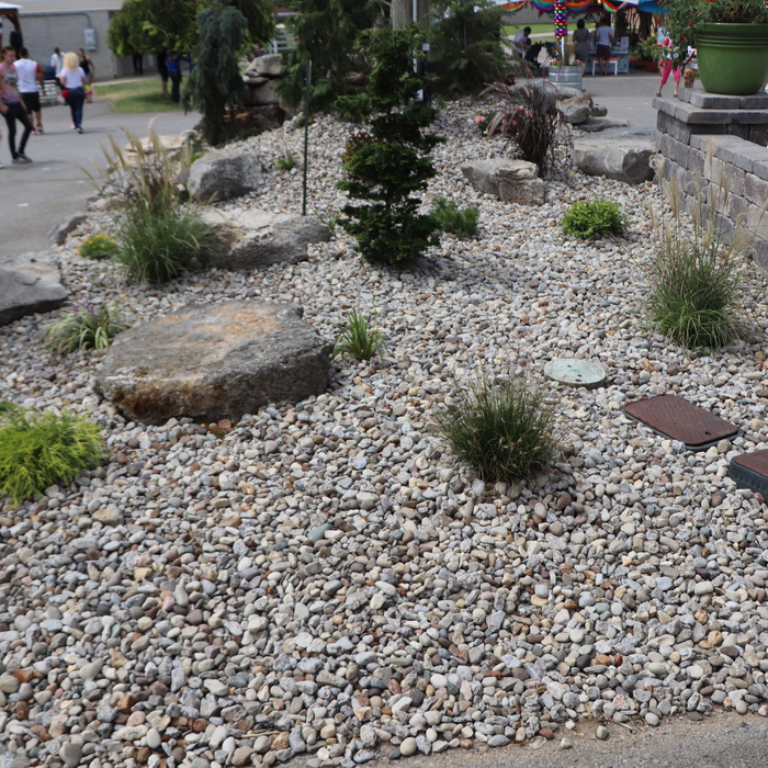 landscape area