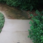 Power wash sidewalk