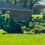Wood Removal