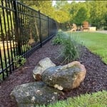 Pool side zoysia