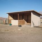 Open Horse Stall