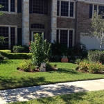 Flower beds done with curve shapes.