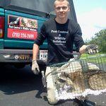 Raccoon Trapping