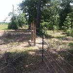 Barbed Wire Fence