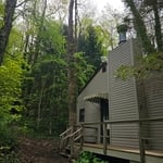 Tree removal