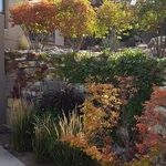 Santa Fe goodness