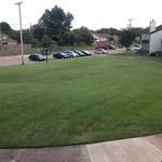 Full lawn care