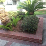 Flower bed