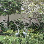 Windsor Courtyard Garden
