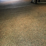 Carpet Cleaning in Irvine