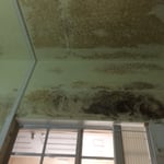 mold at window