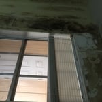 mold at window