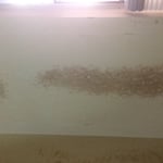 mold on wall