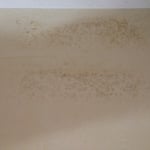 mold on wall