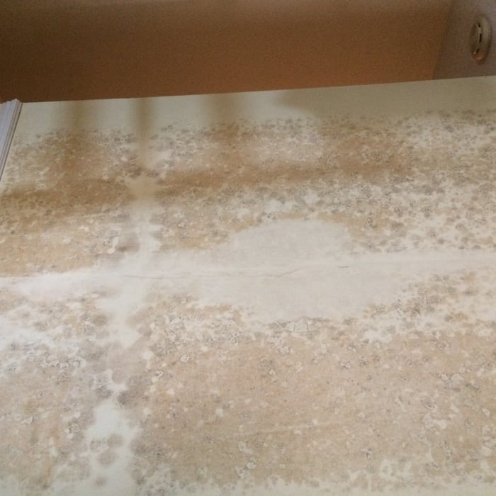 mold on wall