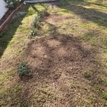 2 Stumps