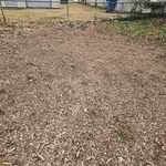 Stump Grinding