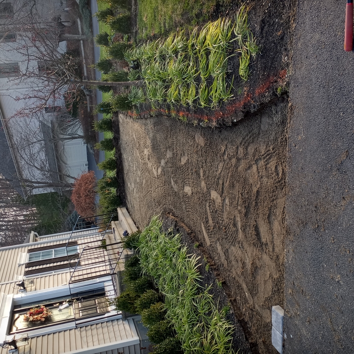 Base prep for walkway