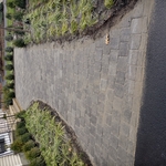 Concrete Paver Walkway Final